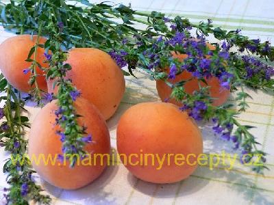 Meruňkové nanuky s levandulí