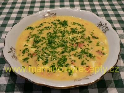 Žlutá jarní polévka